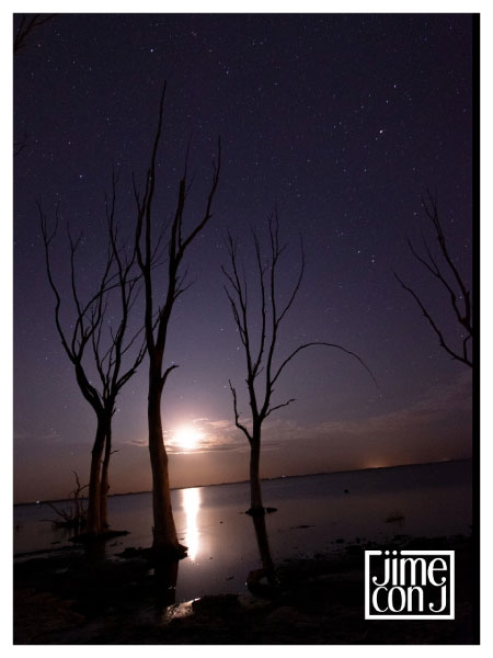 Logotipo aplicado sobre una fotografía