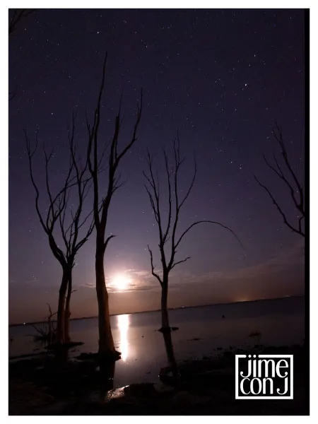 Logo applied over a photo